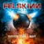 Felskinn