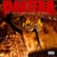 Pantera