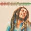 Bob Marley vs. Funkstar De Luxe
