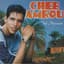 Cheb Amrou