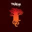 Tribeqa