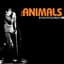 The Animals