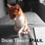 Dislike Tonality