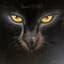 Brymo
