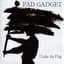 Fad Gadget