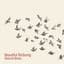 Butterfly Metamorphosis Masters