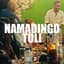 Namadingo