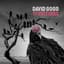 David Gogo