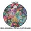 Sean Johnson & The Wild Lotus Band