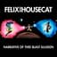 Felix Da Housecat