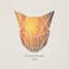 Steam Phunk