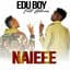 Edu Boy