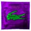 Costa Lacoste