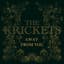 The Krickets