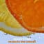 Orange and Lemons