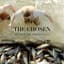 The Chosen