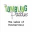 The Tumbling Paddies