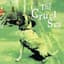 The Cruel Sea