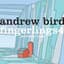 Andrew Bird