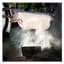 Pianos Become the Teeth