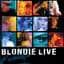 Blondie