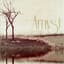 Amyst