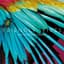 Friendly Fires