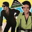 The Fabulous Thunderbirds