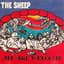 The Sheep