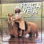 Porca Véia