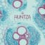 Huntza