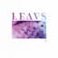 Leavs