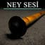 Ney Sesi