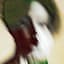 데이먼스 이어 Damons year