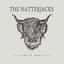 The Natterjacks