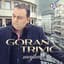 Goran Trivic