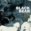 Black Bear