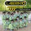 GRUPO LABERINTO