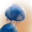 Blue Canopy