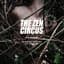 The Zen Circus