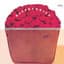 The Raspberries