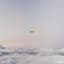 Andrew Cardon