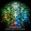 Akasha Experience
