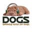 Dogs