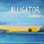 Alligator