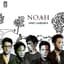 Noah