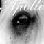 Pinback
