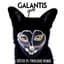 Galantis