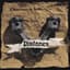 Pistones