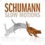 Robert Schumann